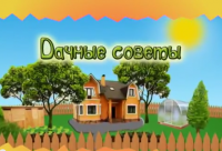 Смотрите Дачные советы в четверг 27.04.2017 г. в 19.20 на телеканале Губерния.