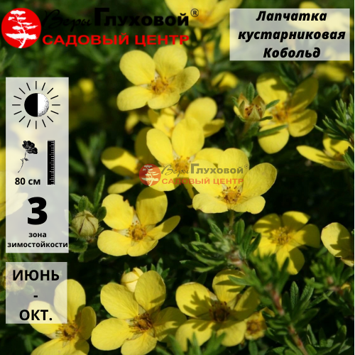 Основное изображение товара