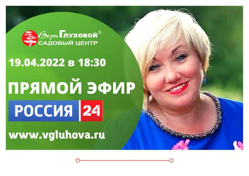 Прямой эфир на канале Россия 24