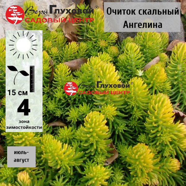 Основное изображение товара