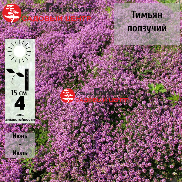 Основное изображение товара