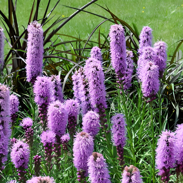 Основное изображение товара