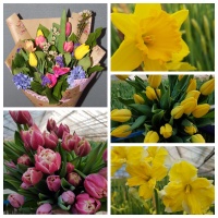 Тюльпаны на 8 марта в Самаре