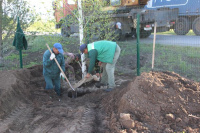 Посадка деревьев в парковой зоне садового центра
