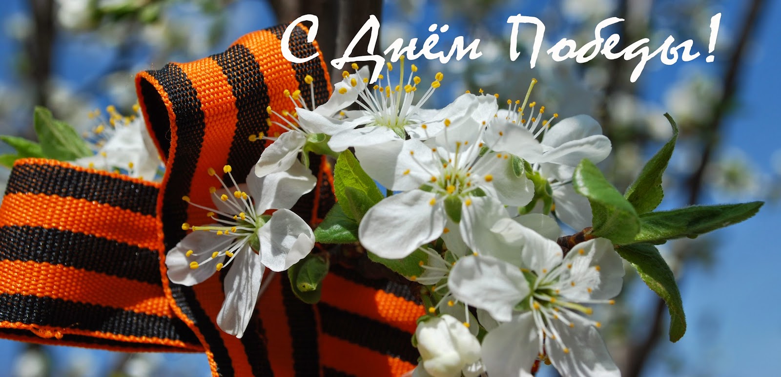 9 мая - День Победы! С праздником! 9 мая - День Победы! С праздником!