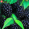 Ежевика в ассортименте 0,8л