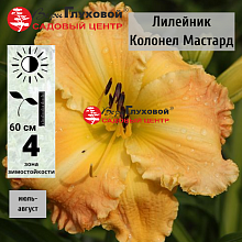 Основное изображение товара