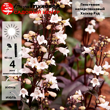 Основное изображение товара