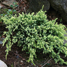 Основное изображение товара