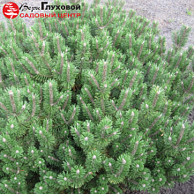 Основное изображение товара