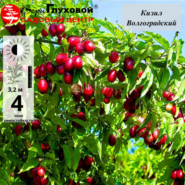 Рисунок 4.jpg