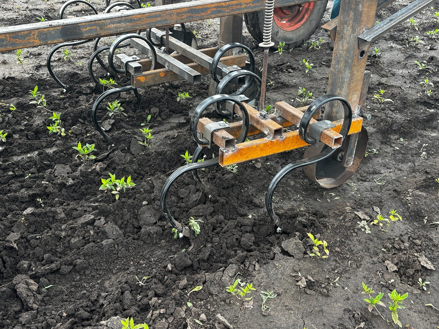 Новые решения в борьбе с сорняками