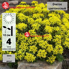 Основное изображение товара