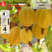 Основное изображение товара