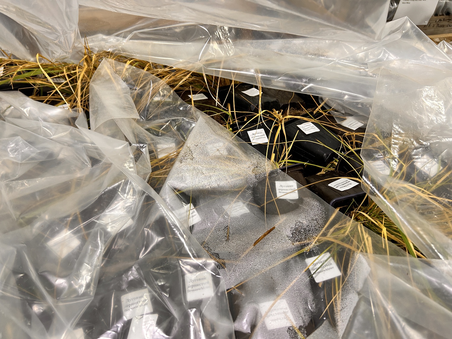 Опережая время