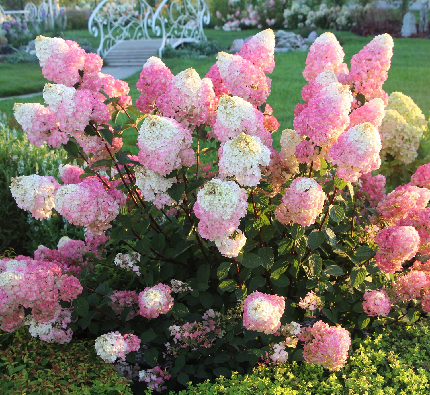 Внимание! Внимание! Внимание!