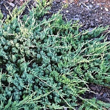 Основное изображение товара