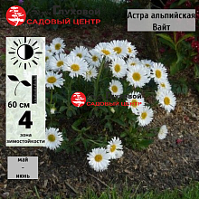 Основное изображение товара