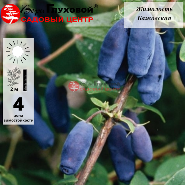 Основное изображение товара