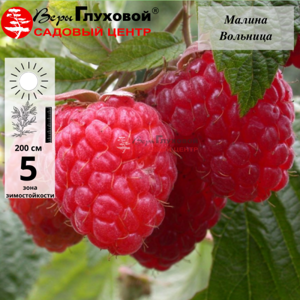 Основное изображение товара