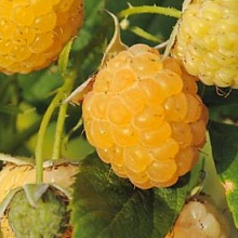 Рисунок 172.jpg