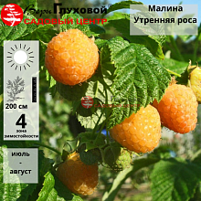 Основное изображение товара