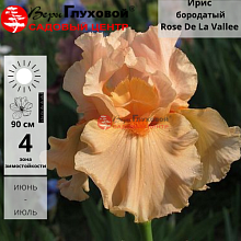 Основное изображение товара