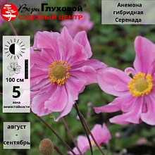 Основное изображение товара