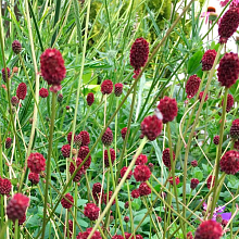 Основное изображение товара